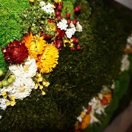 דירה Lovely Nature