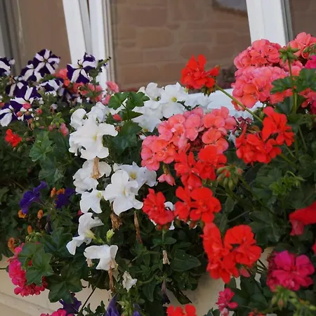 Apartman Lovely Nature Berck