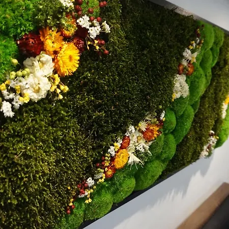 Apartman Lovely Nature Berck